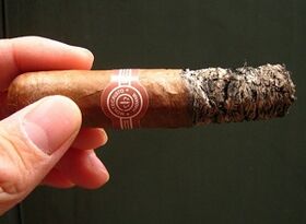 Danno del fumare sigari per la salute